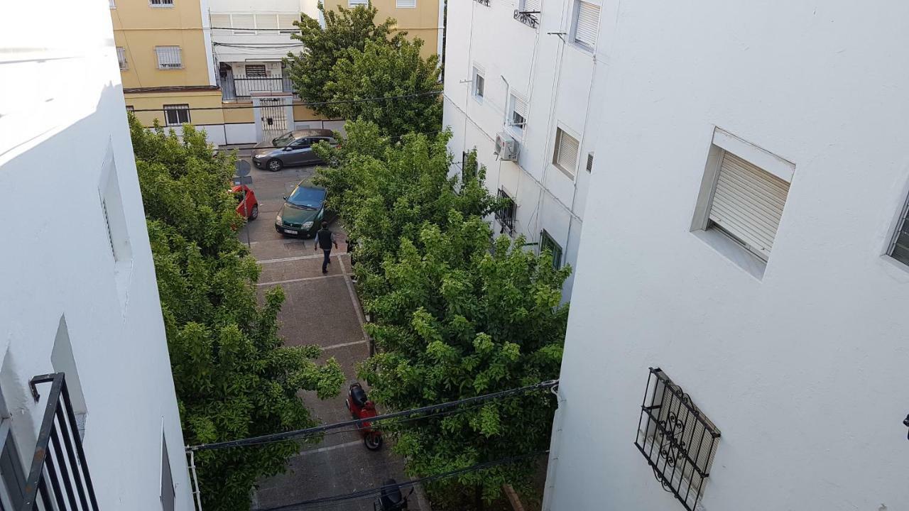 Acogedor Apartamento En El Barrio Del Parlamento De Andalucia Sevilla Dış mekan fotoğraf